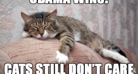 Obama Cats