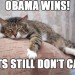 Obama Cats