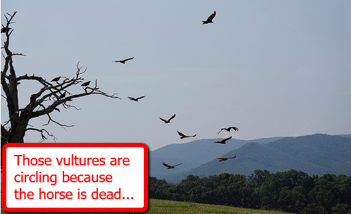 vultures-circling-horse-dead