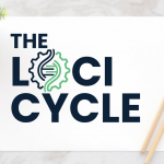 Loci Cycle Review Price Demo