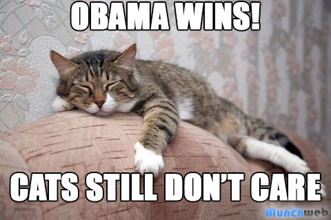 Obama Cats